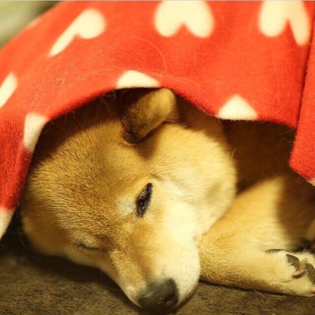 九游（jiuyou.com）游戏-德甲球队通过数据建模优化球员冲刺频次分配的研究，德甲球员评分